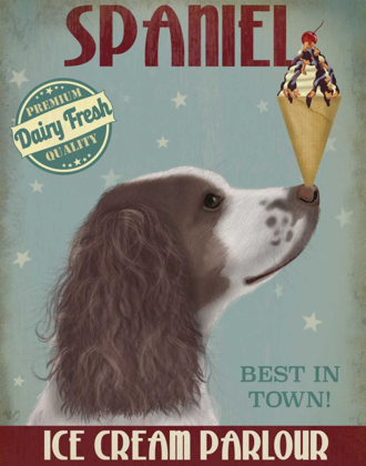 Picture of SPRINGER SPANIEL, BROWN AND WHITE, ICE CREAM