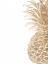Picture of PINEAPPLE LIFE IV