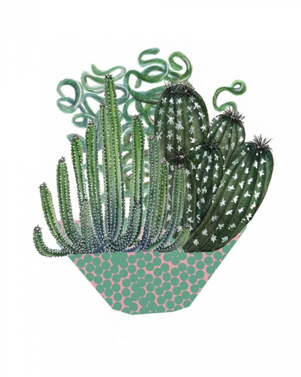 Picture of CACTUS ARRANGEMENT II