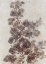 Picture of SEPIA FLOWER STUDY II