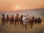 Picture of SUNKISSED HORSES II