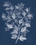 Picture of FOLIAGE CHINTZ I