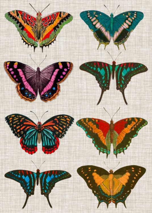 Picture of POLYCHROME BUTTERFLIES II