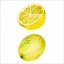 Picture of LOVE ME FRUIT IV