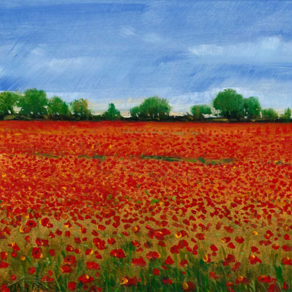 Picture of FIELD OF POPPIES I