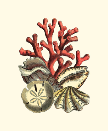 Picture of CORAL MEDLEY II