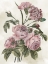 Picture of A SOFT BREATH I