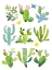 Picture of HAPPY CACTI