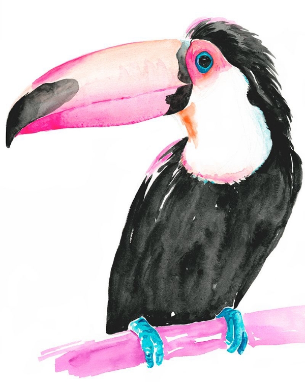 Picture of TECHNICOLOR TOUCAN II