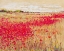 Picture of POPPIES EVENING LIGHT I