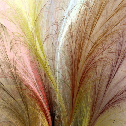 Picture of FOUNTAIN GRASS II