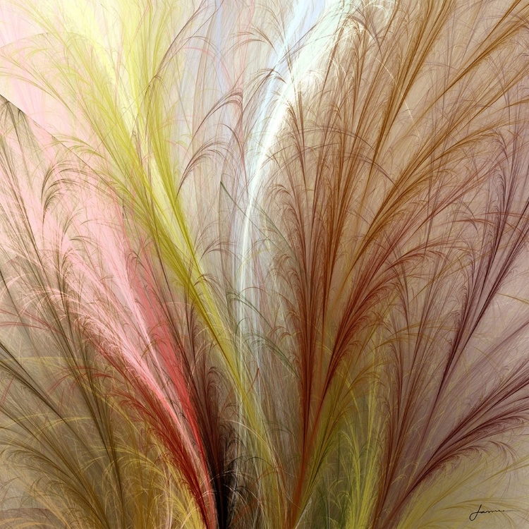 Picture of FOUNTAIN GRASS II