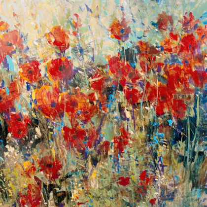 Picture of RED POPPY FIELD II