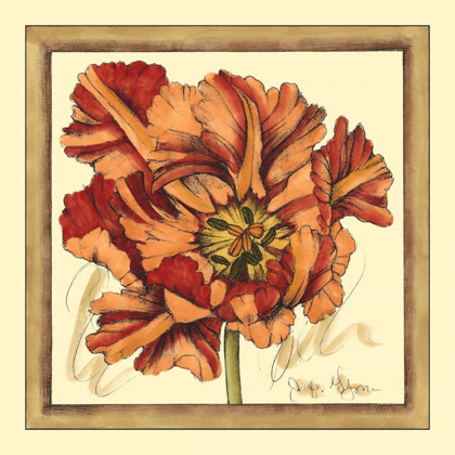 Picture of TULIP STUDY V
