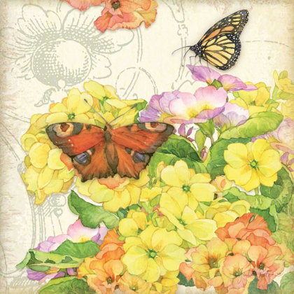 Picture of PRIMROSE AND BUTTERFLIES