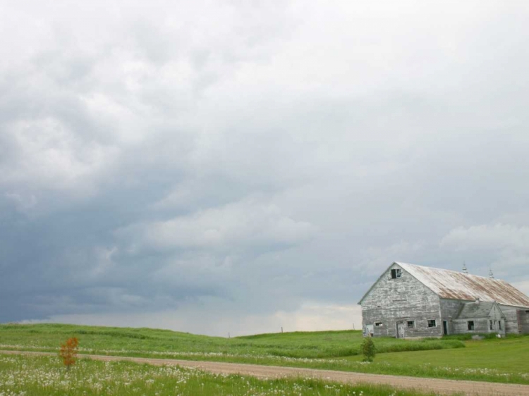 Picture of BARN SCAPE I