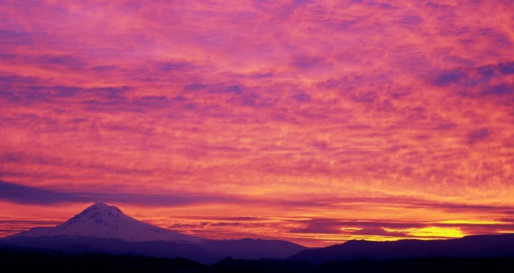 Picture of MT. HOOD XXV