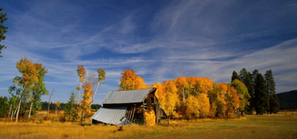 Picture of OLD BARN