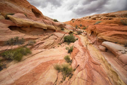 Picture of VALLEY OF FIRE I