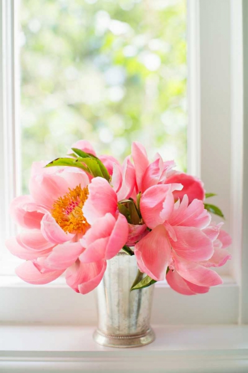 Picture of PEONIES IN VASE II