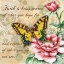 Picture of INSPIRE BUTTERFLY III