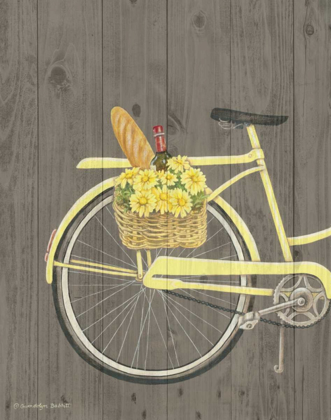 Picture of SPRING BIKE I