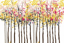Picture of AUTUMN WOODS