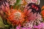 Picture of TROPICAL BOUQUET I