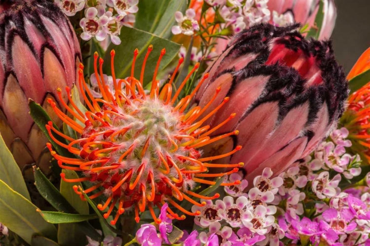 Picture of TROPICAL BOUQUET I