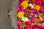 Picture of POTPOURRI