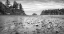 Picture of SUNSET BAY BW