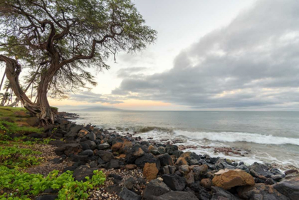 Picture of KIHEI SUNRISE