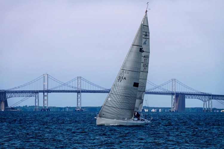 Picture of SAILING AT DUSK II