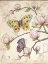 Picture of LE JARDIN BUTTERFLY V