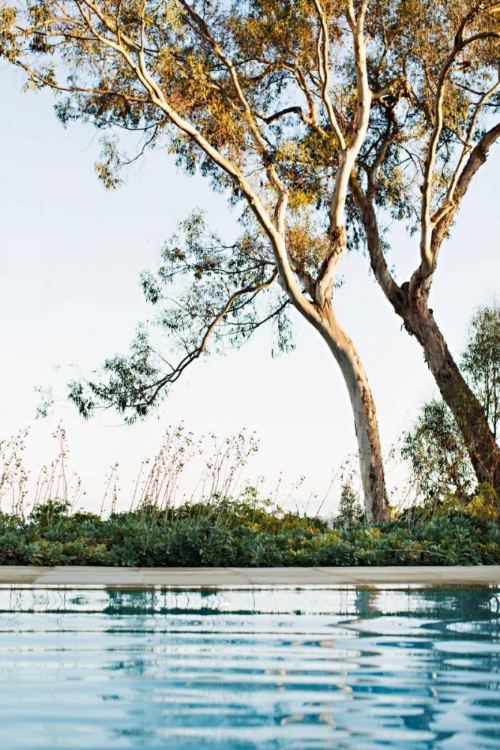 Picture of POOLSIDE SHADE