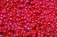 Picture of RED ICE FLOWERS