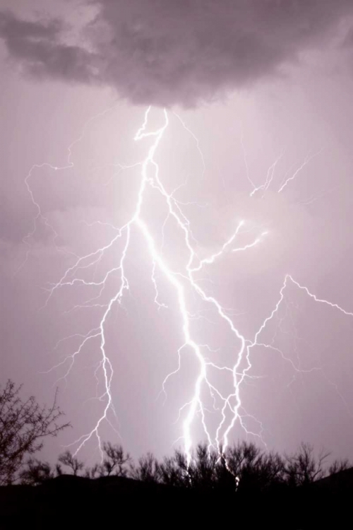 Picture of DANCING LIGHTNING