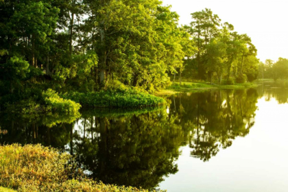 Picture of SUNRISE ON GREEN LAKE II