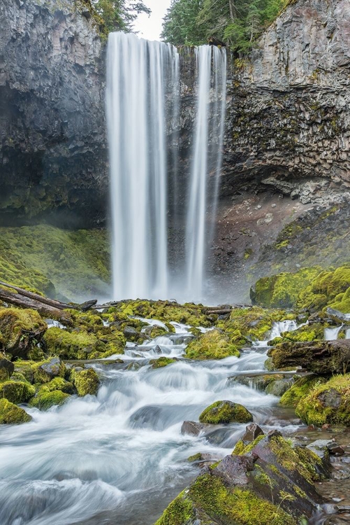 Picture of TAMANAWAS FALLS II