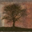 Picture of TREE HORIZON 