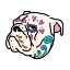 Picture of SUGAR BULLDOG