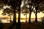 Picture of COBB ISLAND SUNRISE III