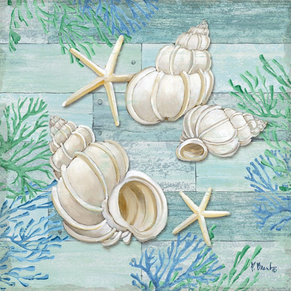 Picture of CLEARWATER SHELLS III
