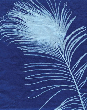 Picture of INDIGO FEATHERS III