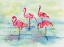 Picture of SUNSET FLAMINGOES II