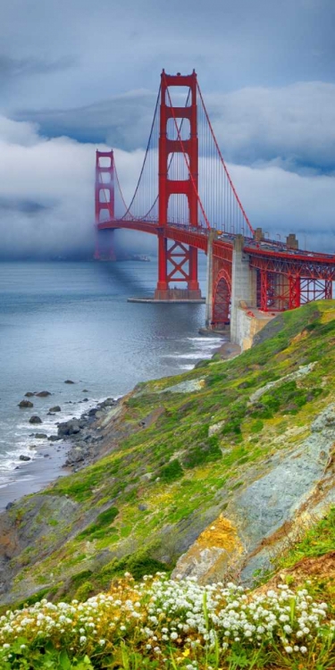 Picture of GOLDEN GATE BRIDGE IV