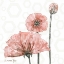 Picture of POPPY UMBRELLA 1