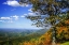 Picture of APPROACHING AUTUMN II