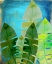 Picture of TROPICAL PALM 2