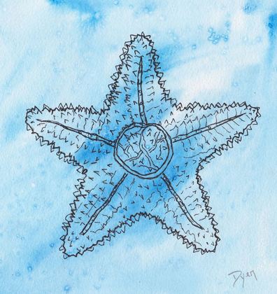 Picture of COASTAL STARFISH